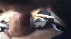 Car Blowjob With Cum