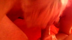 Morning blowjob in bed!