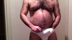 Daddy bear strips