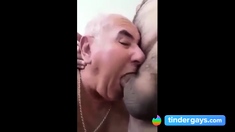 Bear fucks grandfather's mouth