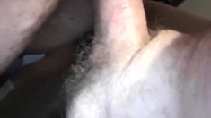 Bbw In Bed Gets Dicked