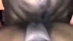 Two big cocks at one close up